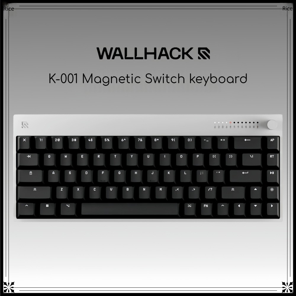 Gaming Keyboard Hall Effect Switches - WALLHACK K-001 ホールエフェクト磁気スイッチキーボード 有線 シングルモード カスタム
